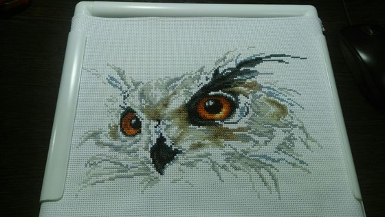 Этап процесса «Сова»