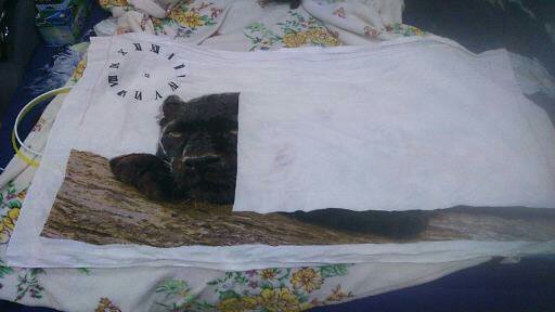 Этап процесса «пантера»