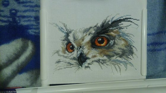 Этап процесса «Сова»