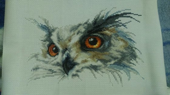 Этап процесса «Сова»