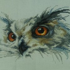 Процесс «Сова»