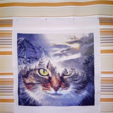 Процесс «хозяин мира /химера/»