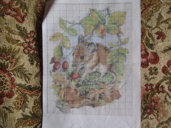 Этап процесса «Мышка в шиповнике»