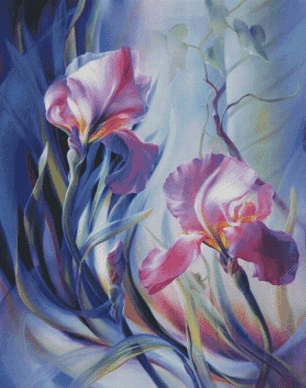 Этап процесса «ночные ирисы-химера»