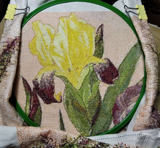 Этап процесса «"Ирисы"»