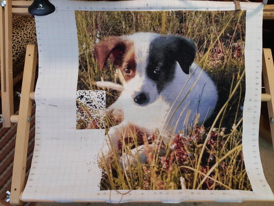 Этап процесса «Лорд»