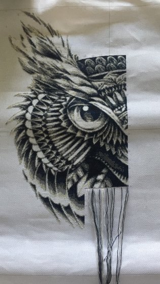 Этап процесса «Мудрая сова»