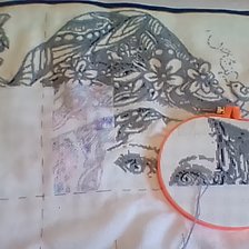 Процесс «Фея»