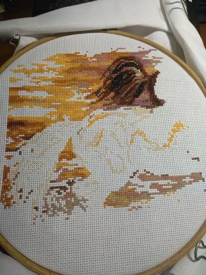 Этап процесса «В лучах заката от РИОЛИС»