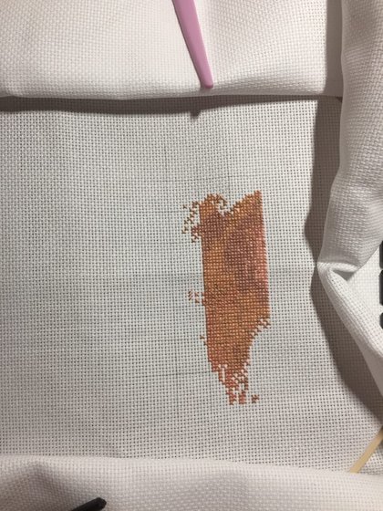 Этап процесса «Кот»