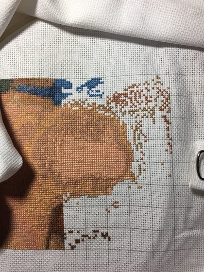 Этап процесса «Кот»