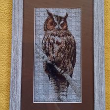 Процесс «Bagoly»