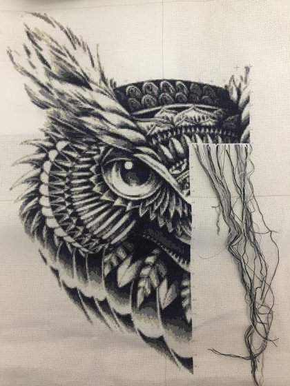 Этап процесса «Мудрая сова»