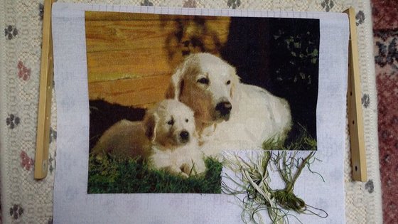 Этап процесса «Kutya család»