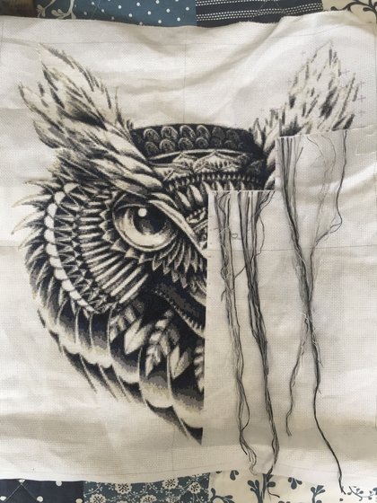 Этап процесса «Мудрая сова»