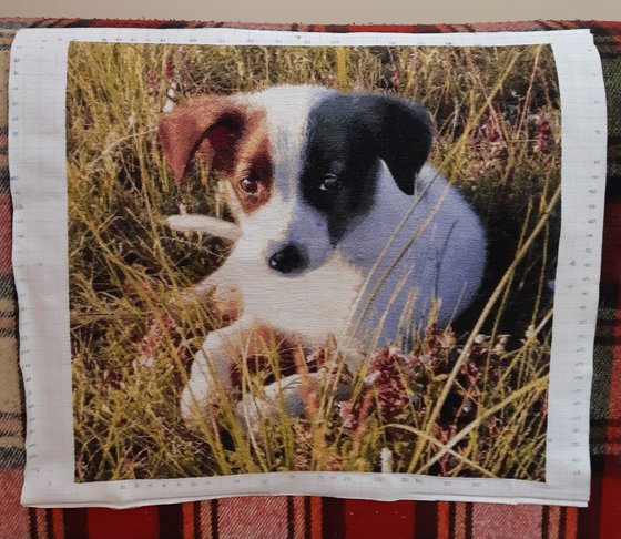 Этап процесса «Лорд»