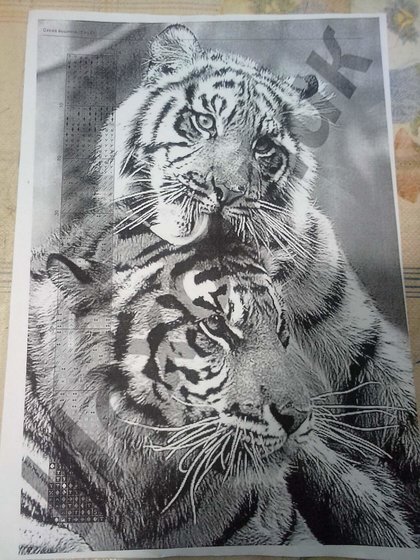 Этап процесса «тигриная нежность»