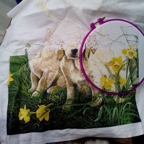 Этап процесса «Лабрадор семья под зонтом!»