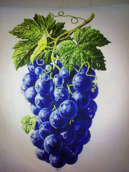 Этап процесса «Виноград»