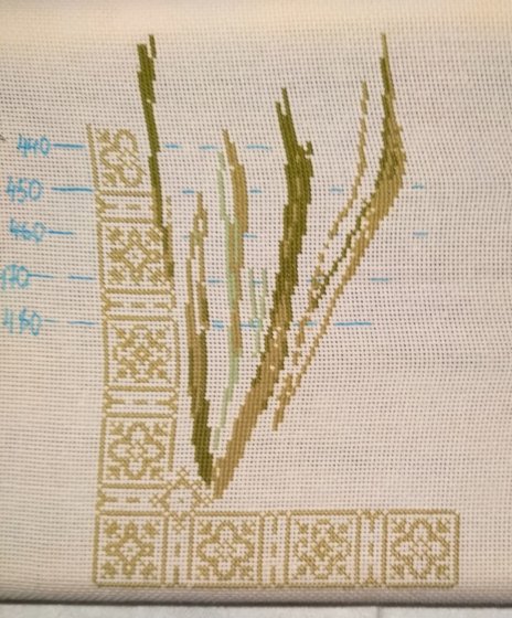 Этап процесса «Риолис. Гладиолусы»