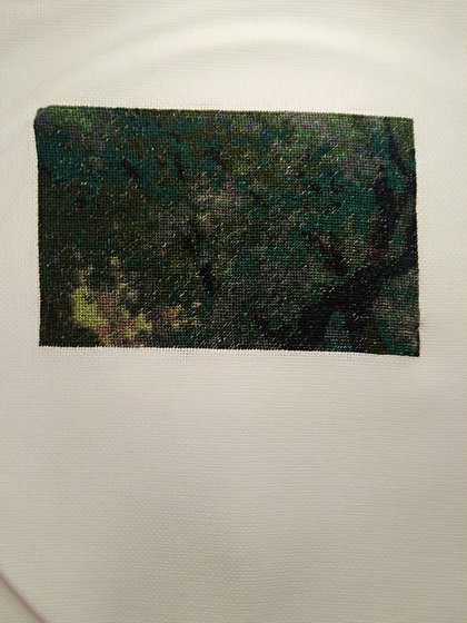 Этап процесса «ХАЕД River Genesis»