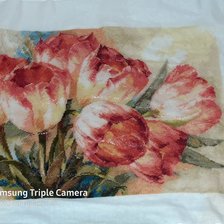 Процесс «тюльпаны»