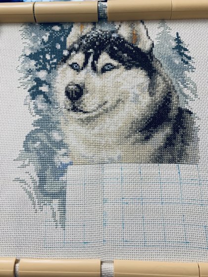 Этап процесса «Верный хаски»