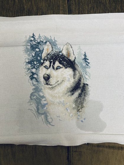 Этап процесса «Верный хаски»