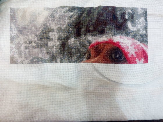 Этап процесса «Такса в шапочке»