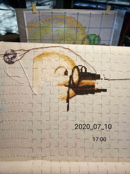 Этап процесса «Метрика " Аист прилетел"»