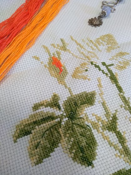 Этап процесса «Риолис. Королева цветов»