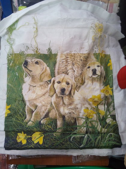 Этап процесса «Лабрадор семья под зонтом!»