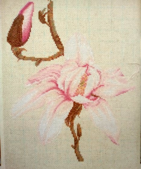 Этап процесса «Колибри и магнолия»