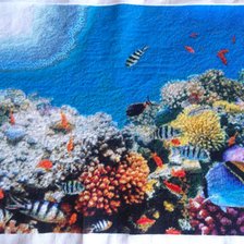 Процесс «Коралловый риф»