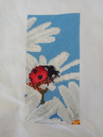 Этап процесса «Ромашки»