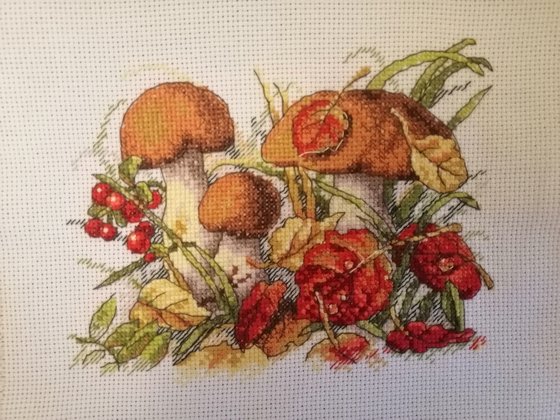 Этап процесса «Грибочки»