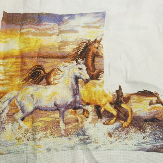 Этап процесса «В лучах заката от РИОЛИС»