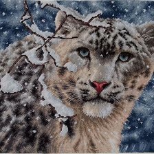 Процесс «Снежный барс»