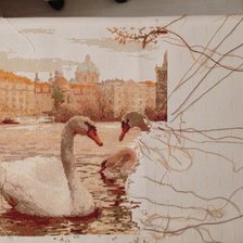 Процесс «Лебеди»