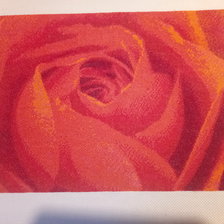 Процесс «Красная роза»