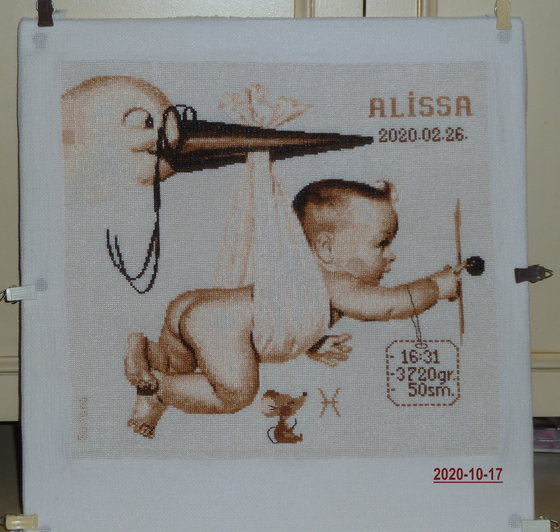 Этап процесса «Метрика " Аист прилетел"»