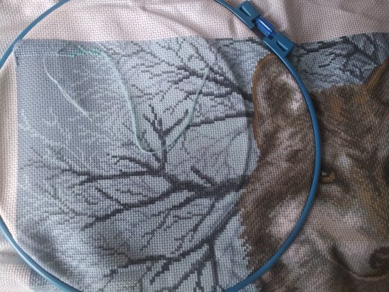 Этап процесса «Волк»