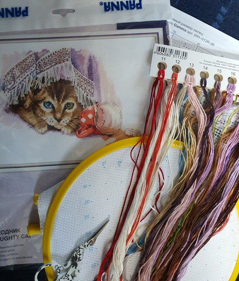 Этап процесса «Шкодник»