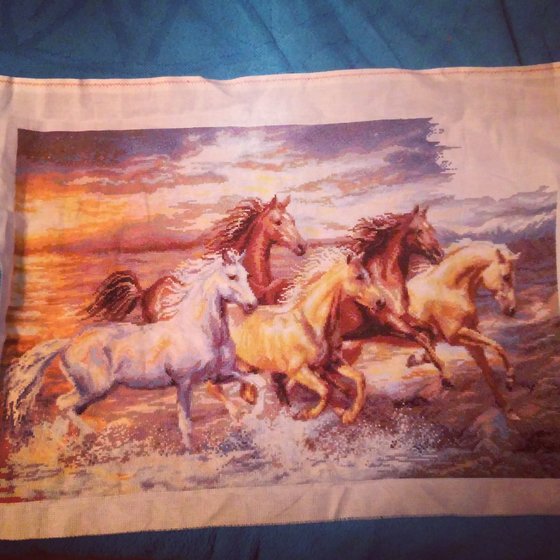 Этап процесса «В лучах заката от РИОЛИС»