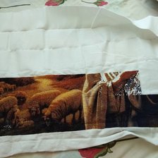 Процесс «Продовження»