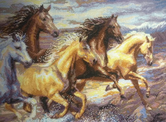 Этап процесса «В лучах заката от РИОЛИС»