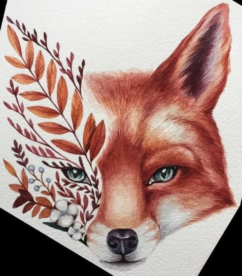 Этап процесса «Лисица»