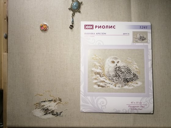 Этап процесса «Полярная (белая) сова  от Риолис.»