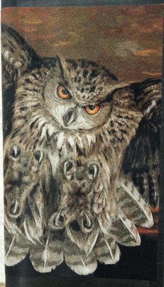 Этап процесса «Сова»