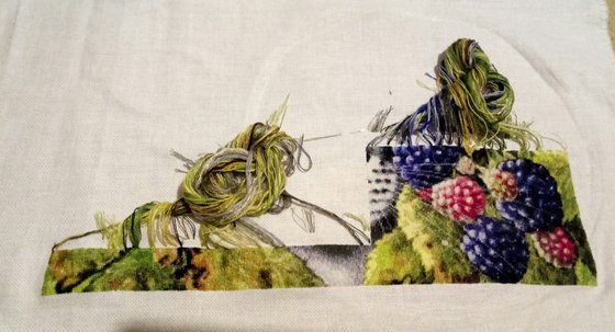 Этап процесса «Кот в ежевике»